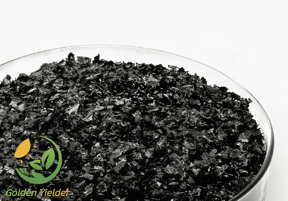 Humic Acid: A Natural Agricultural Treasure! 🌱