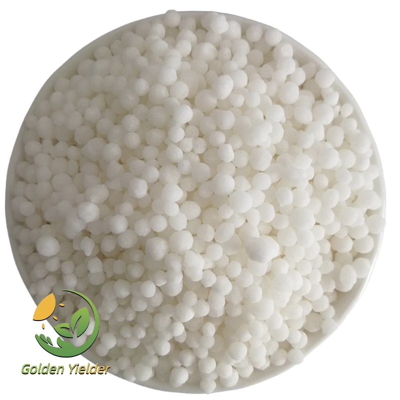 Let’s Learn About Calcium Ammonium Nitrate (CAN)